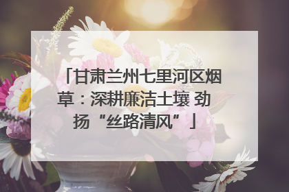 甘肃兰州七里河区烟草：深耕廉洁土壤 劲扬“丝路清风”