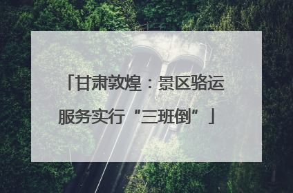 甘肃敦煌：景区骆运服务实行“三班倒”