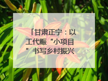甘肃正宁：以工代赈“小项目”书写乡村振兴“大文章”