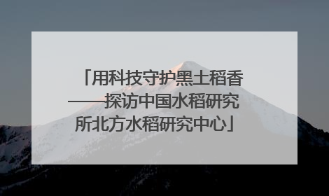用科技守护黑土稻香——探访中国水稻研究所北方水稻研究中心