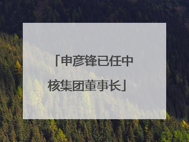 申彦锋已任中核集团董事长