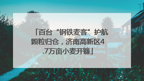 百台“钢铁麦客”护航颗粒归仓，济南高新区4.7万亩小麦开镰