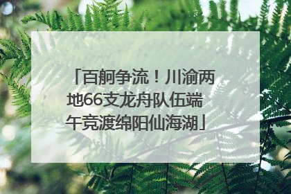 百舸争流！川渝两地66支龙舟队伍端午竞渡绵阳仙海湖