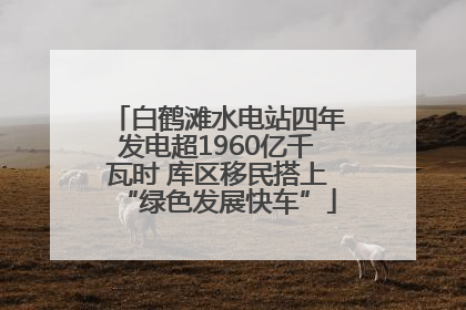 白鹤滩水电站四年发电超1960亿千瓦时 库区移民搭上“绿色发展快车”