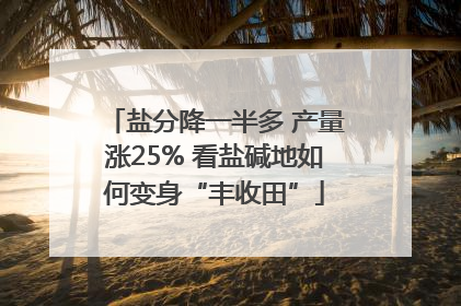 盐分降一半多 产量涨25% 看盐碱地如何变身“丰收田”
