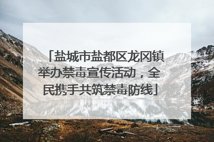 盐城市盐都区龙冈镇举办禁毒宣传活动，全民携手共筑禁毒防线