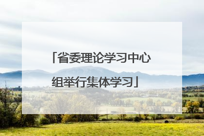 省委理论学习中心组举行集体学习