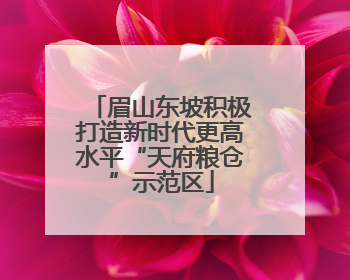 眉山东坡积极打造新时代更高水平“天府粮仓”示范区