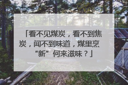 看不见煤炭，看不到焦炭，闻不到味道，煤里烹“新”何来滋味？