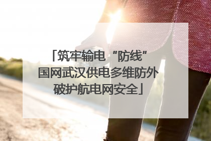 筑牢输电“防线” 国网武汉供电多维防外破护航电网安全