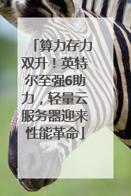算力存力双升！英特尔至强6助力，轻量云服务器迎来性能革命