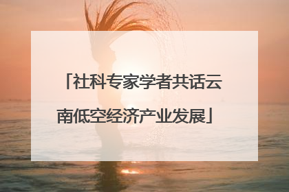 社科专家学者共话云南低空经济产业发展