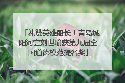 礼赞英雄船长！青岛城阳河套刘世瑜获第九届全国道德模范提名奖