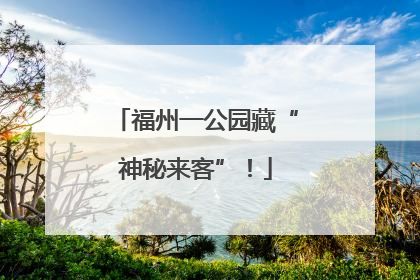 福州一公园藏“神秘来客”！