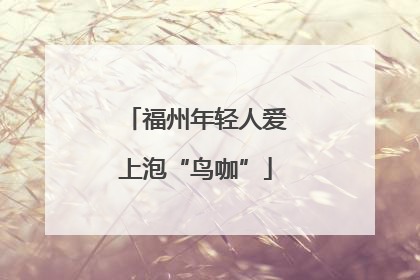 福州年轻人爱上泡“鸟咖”