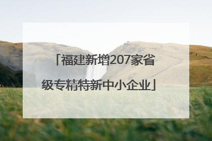 福建新增207家省级专精特新中小企业