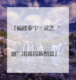 福建泰宁：灵芝“链”出富民新图景