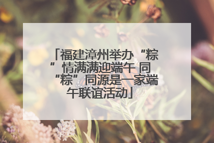 福建漳州举办“粽”情满满迎端午 同“粽”同源是一家端午联谊活动