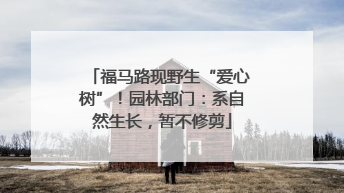 福马路现野生“爱心树”！园林部门：系自然生长，暂不修剪