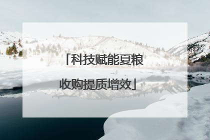 科技赋能夏粮收购提质增效