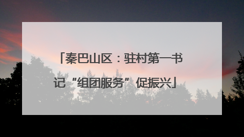 秦巴山区：驻村第一书记“组团服务”促振兴