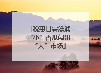 税惠甘霖滋润“小”香瓜闯出“大”市场