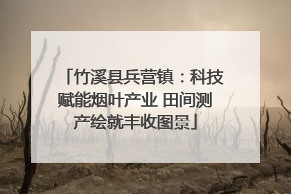 竹溪县兵营镇：科技赋能烟叶产业 田间测产绘就丰收图景