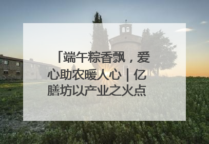 端午粽香飘，爱心助农暖人心｜亿膳坊以产业之火点亮乡村振兴路
