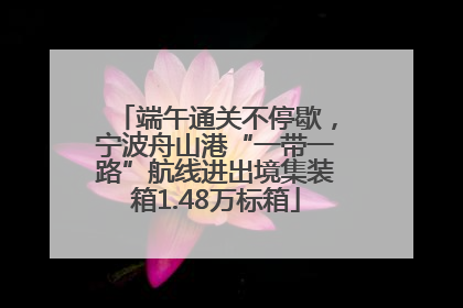 端午通关不停歇，宁波舟山港“一带一路”航线进出境集装箱1.48万标箱
