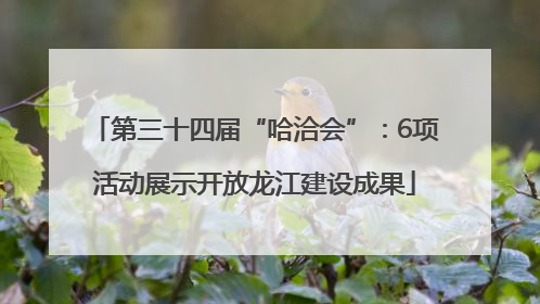 第三十四届“哈洽会”：6项活动展示开放龙江建设成果