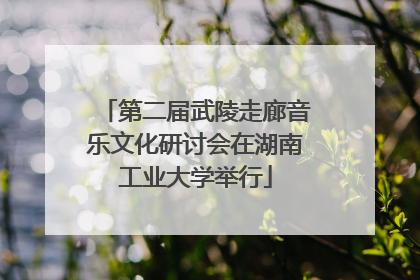 第二届武陵走廊音乐文化研讨会在湖南工业大学举行
