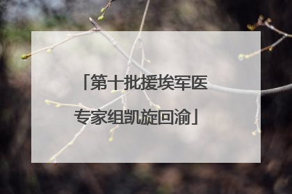 第十批援埃军医专家组凯旋回渝