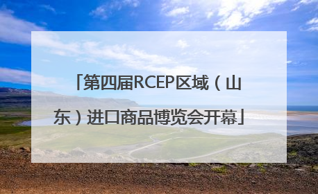 第四届RCEP区域（山东）进口商品博览会开幕