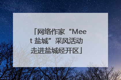 网络作家“Meet 盐城”采风活动走进盐城经开区