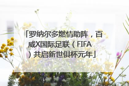 罗纳尔多燃情助阵，百威X国际足联（FIFA）共启新世俱杯元年