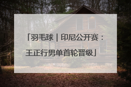 羽毛球｜印尼公开赛：王正行男单首轮晋级