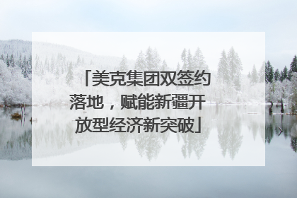美克集团双签约落地，赋能新疆开放型经济新突破