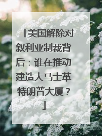 美国解除对叙利亚制裁背后：谁在推动建造大马士革特朗普大厦？