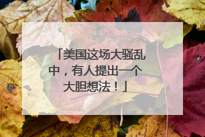 美国这场大骚乱中，有人提出一个大胆想法！
