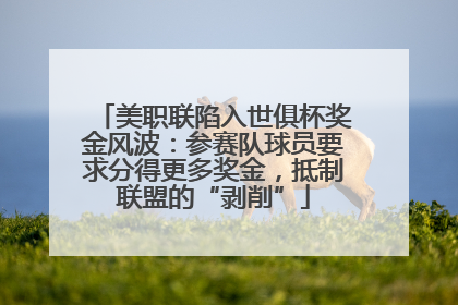 美职联陷入世俱杯奖金风波：参赛队球员要求分得更多奖金，抵制联盟的“剥削”