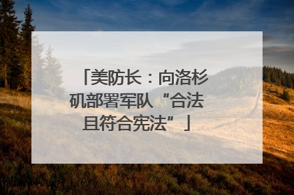 美防长：向洛杉矶部署军队“合法且符合宪法”
