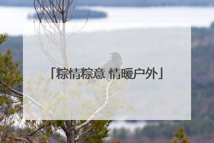 粽情粽意 情暖户外