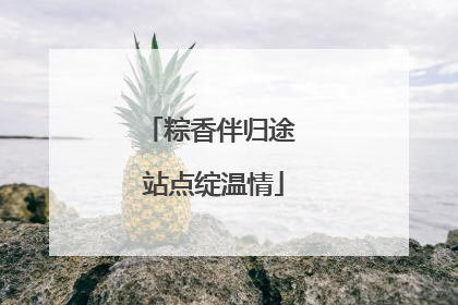 粽香伴归途 站点绽温情