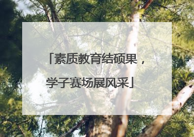 素质教育结硕果，学子赛场展风采