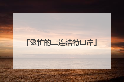 繁忙的二连浩特口岸