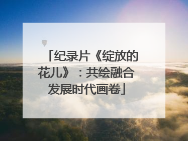 纪录片《绽放的花儿》：共绘融合发展时代画卷