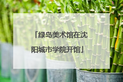 绿岛美术馆在沈阳城市学院开馆