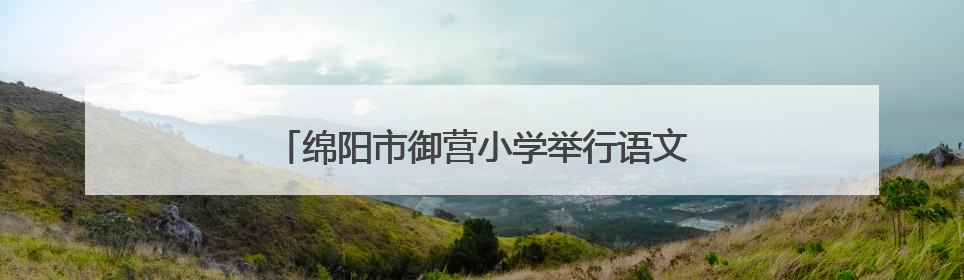 绵阳市御营小学举行语文组青年教师教学研讨活动