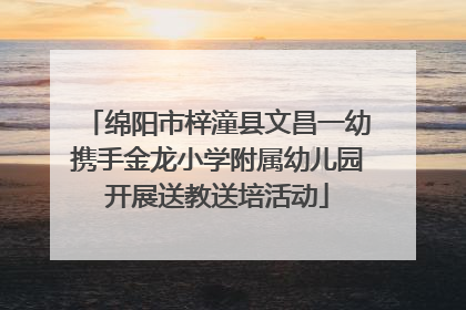 绵阳市梓潼县文昌一幼携手金龙小学附属幼儿园开展送教送培活动