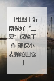 组图丨沂南做好“三夏”保障工作 确保小麦颗粒归仓